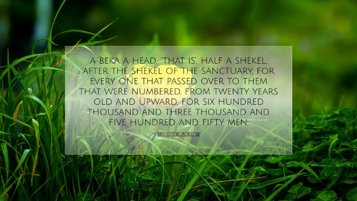 Picture 07 - Exodus 38:26 ASV Desktop Wallpaper - a beka a head, `that is', half a shekel, after - Desktop Bible Verse Wallpaper