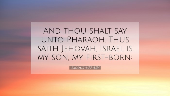 Picture 07 - Exodus 4:22 ASV Desktop Wallpaper - And thou shalt say unto Pharaoh, Thus saith - Desktop Bible Verse Wallpaper