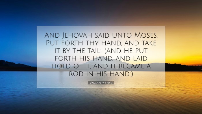 Picture 07 - Exodus 4:4 ASV Desktop Wallpaper - And Jehovah said unto Moses, Put forth thy hand, - Desktop Bible Verse Wallpaper