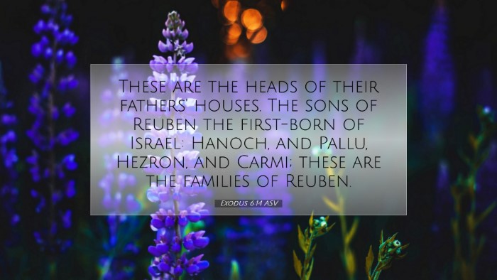 Picture 07 - Exodus 6:14 ASV Desktop Wallpaper - These are the heads of their fathers' houses. The - Desktop Bible Verse Wallpaper