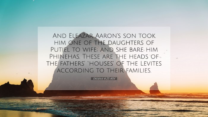 Picture 07 - Exodus 6:25 ASV Desktop Wallpaper - And Eleazar Aaron's son took him one of the - Desktop Bible Verse Wallpaper