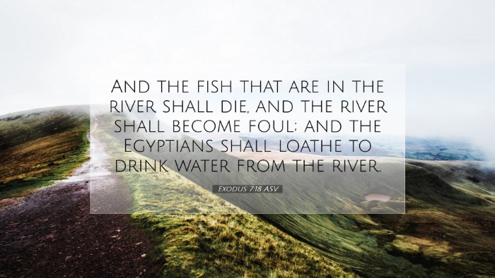 Picture 07 - Exodus 7:18 ASV Desktop Wallpaper - And the fish that are in the river shall die, and - Desktop Bible Verse Wallpaper