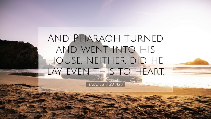 Picture 07 - Exodus 7:23 ASV Desktop Wallpaper - And Pharaoh turned and went into his house, - Desktop Bible Verse Wallpaper