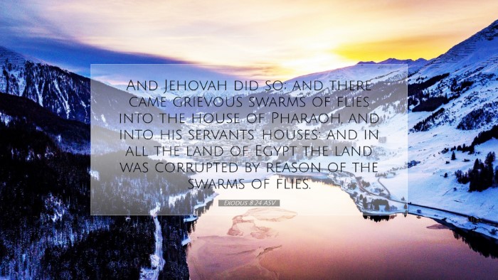 Picture 07 - Exodus 8:24 ASV Desktop Wallpaper - And Jehovah did so; and there came grievous - Desktop Bible Verse Wallpaper