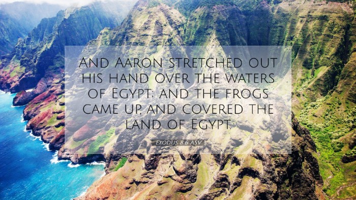 Picture 07 - Exodus 8:6 ASV Desktop Wallpaper - And Aaron stretched out his hand over the waters - Desktop Bible Verse Wallpaper