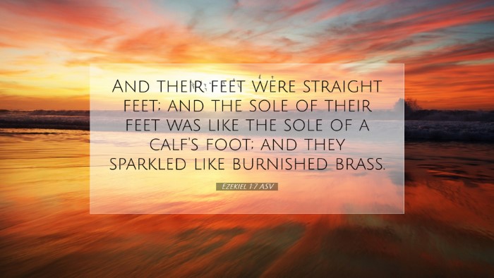 Picture 07 - Ezekiel 1:7 ASV Desktop Wallpaper - And their feet were straight feet; and the sole - Desktop Bible Verse Wallpaper