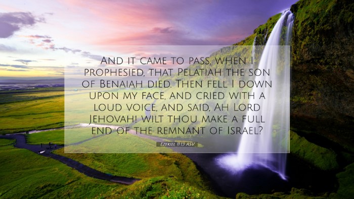 Picture 07 - Ezekiel 11:13 ASV Desktop Wallpaper - And it came to pass, when I prophesied, that - Desktop Bible Verse Wallpaper