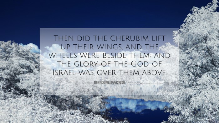 Picture 07 - Ezekiel 11:22 ASV Desktop Wallpaper - Then did the cherubim lift up their wings, and - Desktop Bible Verse Wallpaper