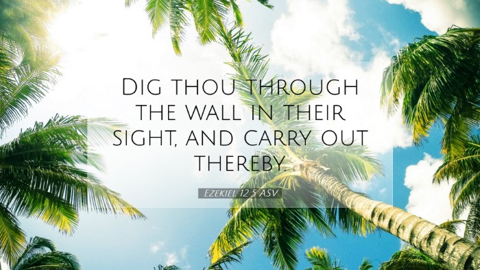 Picture 07 - Ezekiel 12:5 ASV Desktop Wallpaper - Dig thou through the wall in their sight, and - Desktop Bible Verse Wallpaper