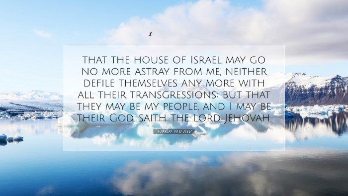 Picture 07 - Ezekiel 14:11 ASV Desktop Wallpaper - that the house of Israel may go no more astray - Desktop Bible Verse Wallpaper
