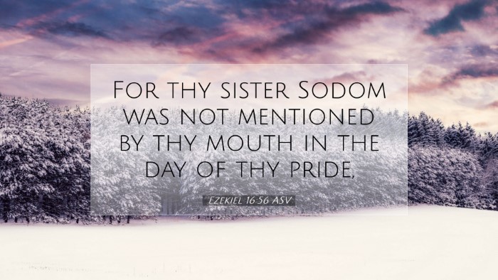 Picture 07 - Ezekiel 16:56 ASV Desktop Wallpaper - For thy sister Sodom was not mentioned by thy - Desktop Bible Verse Wallpaper