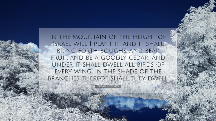 Picture 07 - Ezekiel 17:23 ASV Desktop Wallpaper - in the mountain of the height of Israel will I - Desktop Bible Verse Wallpaper