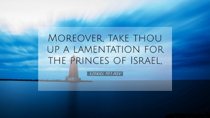 Picture 07 - Ezekiel 19:1 ASV Desktop Wallpaper - Moreover, take thou up a lamentation for the - Desktop Bible Verse Wallpaper
