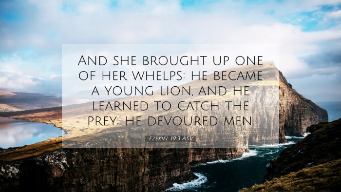 Picture 07 - Ezekiel 19:3 ASV Desktop Wallpaper - And she brought up one of her whelps: he became a - Desktop Bible Verse Wallpaper