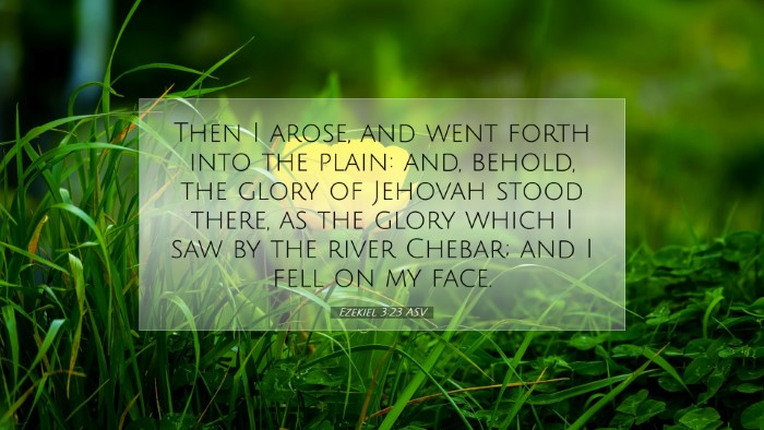 Picture 07 - Ezekiel 3:23 ASV Desktop Wallpaper - Then I arose, and went forth into the plain: and, - Desktop Bible Verse Wallpaper