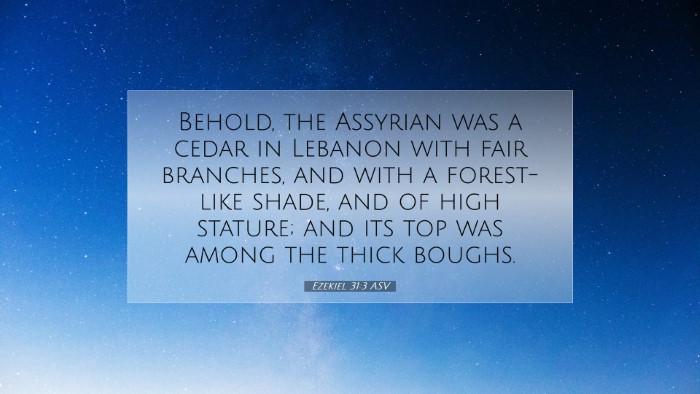 Picture 07 - Ezekiel 31:3 ASV Desktop Wallpaper - Behold, the Assyrian was a cedar in Lebanon with - Desktop Bible Verse Wallpaper