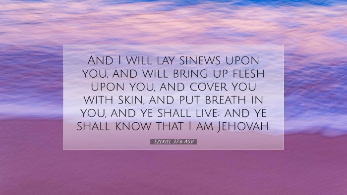 Picture 07 - Ezekiel 37:6 ASV Desktop Wallpaper - And I will lay sinews upon you, and will bring up - Desktop Bible Verse Wallpaper