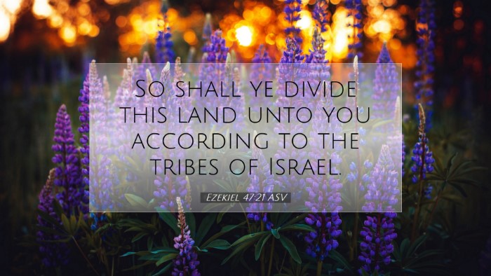 Picture 07 - Ezekiel 47:21 ASV Desktop Wallpaper - So shall ye divide this land unto you according - Desktop Bible Verse Wallpaper