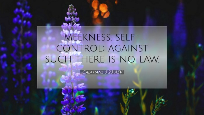 Picture 07 - Galatians 5:23 ASV Desktop Wallpaper - meekness, self-control; against such there is no - Desktop Bible Verse Wallpaper