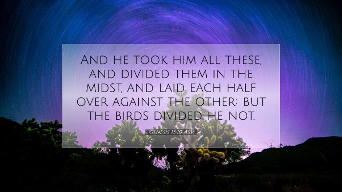 Picture 07 - Genesis 15:10 ASV Desktop Wallpaper - And he took him all these, and divided them in - Desktop Bible Verse Wallpaper