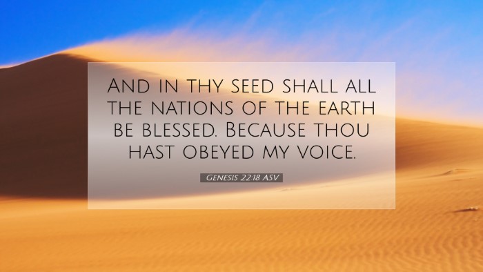 Picture 07 - Genesis 22:18 ASV Desktop Wallpaper - And in thy seed shall all the nations of the - Desktop Bible Verse Wallpaper