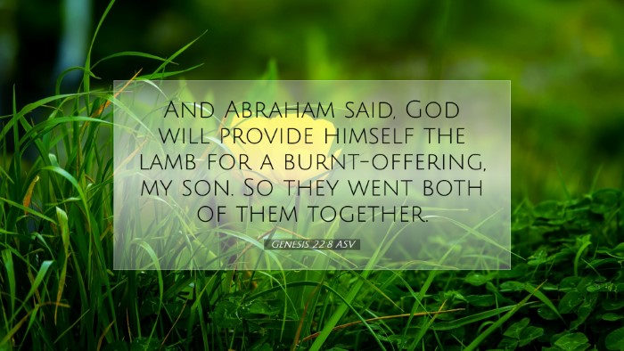 Picture 07 - Genesis 22:8 ASV Desktop Wallpaper - And Abraham said, God will provide himself the - Desktop Bible Verse Wallpaper