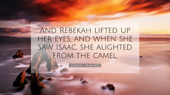 Picture 07 - Genesis 24:64 ASV Desktop Wallpaper - And Rebekah lifted up her eyes, and when she saw - Desktop Bible Verse Wallpaper
