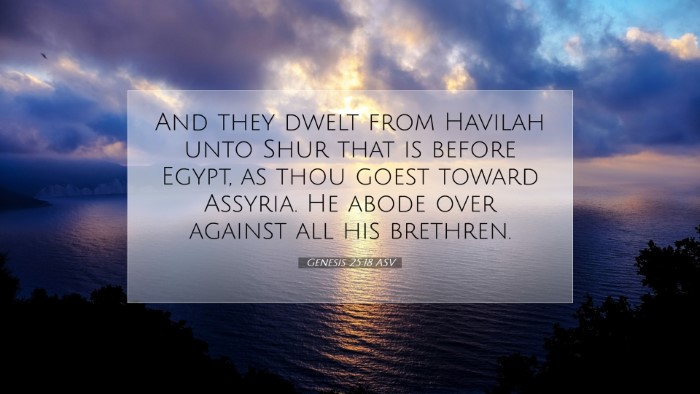 Picture 07 - Genesis 25:18 ASV Desktop Wallpaper - And they dwelt from Havilah unto Shur that is - Desktop Bible Verse Wallpaper