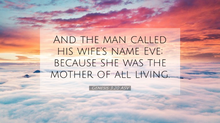 Picture 07 - Genesis 3:20 ASV Desktop Wallpaper - And the man called his wife's name Eve; because - Desktop Bible Verse Wallpaper