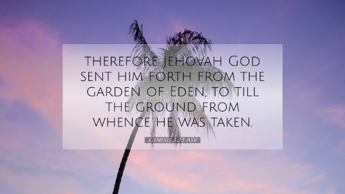 Picture 07 - Genesis 3:23 ASV Desktop Wallpaper - therefore Jehovah God sent him forth from the - Desktop Bible Verse Wallpaper