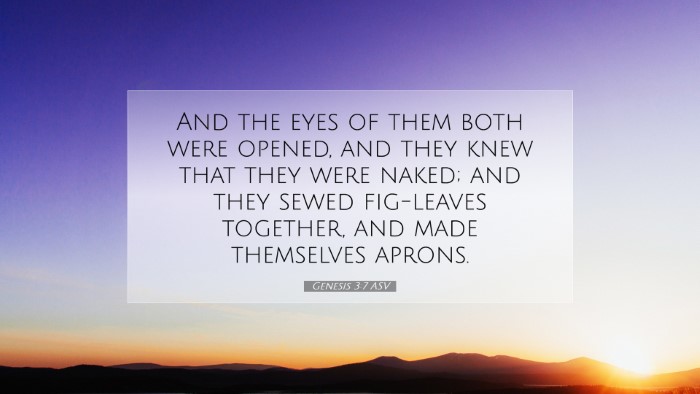 Picture 07 - Genesis 3:7 ASV Desktop Wallpaper - And the eyes of them both were opened, and they - Desktop Bible Verse Wallpaper