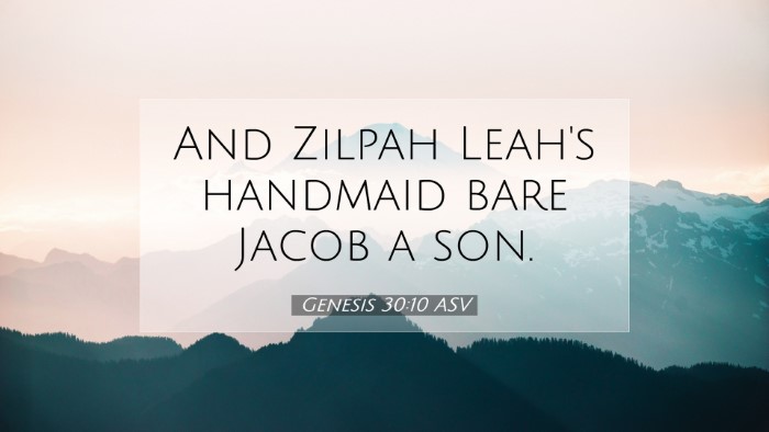 Picture 07 - Genesis 30:10 ASV Desktop Wallpaper - And Zilpah Leah's handmaid bare Jacob a - Desktop Bible Verse Wallpaper