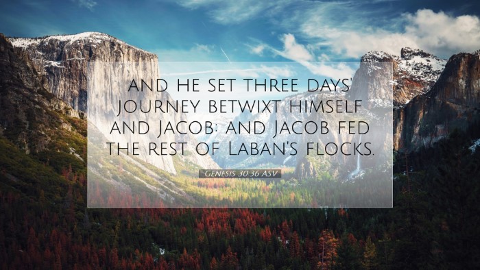 Picture 07 - Genesis 30:36 ASV Desktop Wallpaper - and he set three days' journey betwixt himself - Desktop Bible Verse Wallpaper