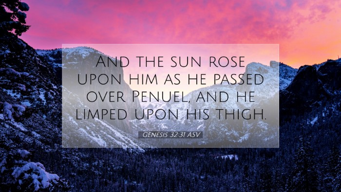 Picture 07 - Genesis 32:31 ASV Desktop Wallpaper - And the sun rose upon him as he passed over - Desktop Bible Verse Wallpaper