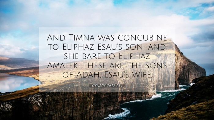 Picture 07 - Genesis 36:12 ASV Desktop Wallpaper - And Timna was concubine to Eliphaz Esau's son; - Desktop Bible Verse Wallpaper