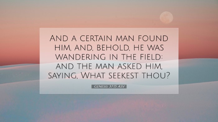 Picture 07 - Genesis 37:15 ASV Desktop Wallpaper - And a certain man found him, and, behold, he was - Desktop Bible Verse Wallpaper