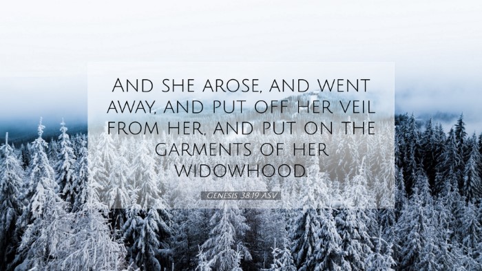Picture 07 - Genesis 38:19 ASV Desktop Wallpaper - And she arose, and went away, and put off her - Desktop Bible Verse Wallpaper