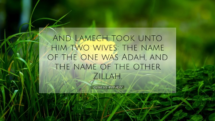 Picture 07 - Genesis 4:19 ASV Desktop Wallpaper - And Lamech took unto him two wives: the name of - Desktop Bible Verse Wallpaper