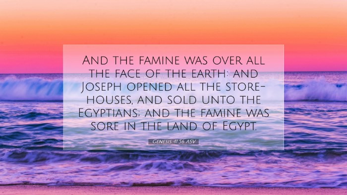 Picture 07 - Genesis 41:56 ASV Desktop Wallpaper - And the famine was over all the face of the - Desktop Bible Verse Wallpaper