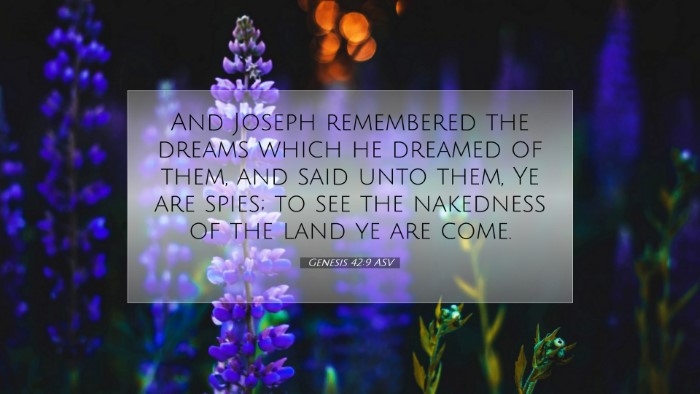 Picture 07 - Genesis 42:9 ASV Desktop Wallpaper - And Joseph remembered the dreams which he dreamed - Desktop Bible Verse Wallpaper