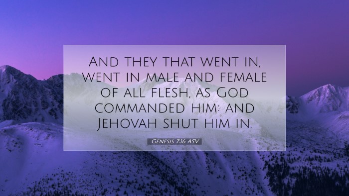 Picture 07 - Genesis 7:16 ASV Desktop Wallpaper - And they that went in, went in male and female of - Desktop Bible Verse Wallpaper