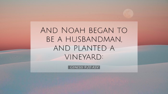 Picture 07 - Genesis 9:20 ASV Desktop Wallpaper - And Noah began to be a husbandman, and planted a - Desktop Bible Verse Wallpaper