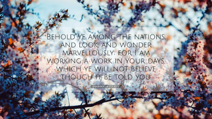 Picture 07 - Habakkuk 1:5 ASV Desktop Wallpaper - Behold ye among the nations, and look, and wonder - Desktop Bible Verse Wallpaper