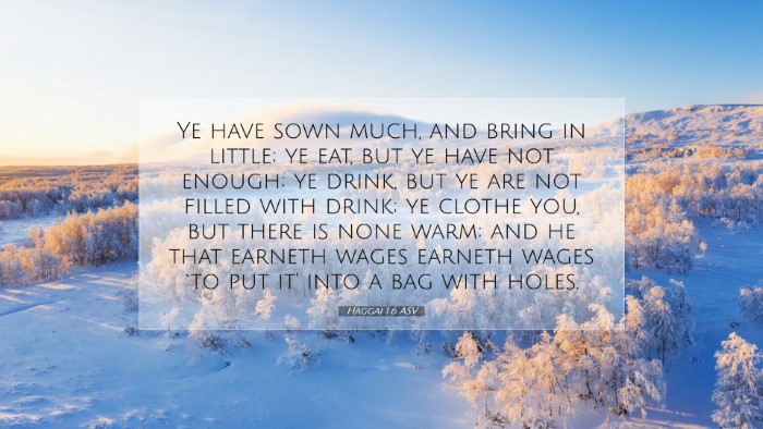 Picture 07 - Haggai 1:6 ASV Desktop Wallpaper - Ye have sown much, and bring in little; ye eat, - Desktop Bible Verse Wallpaper