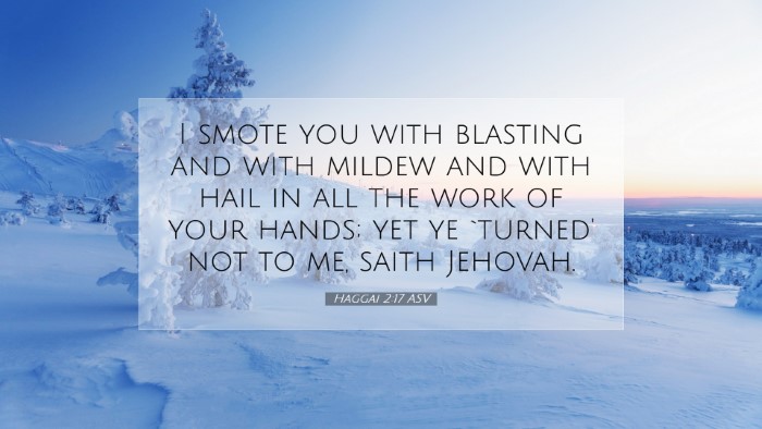 Picture 07 - Haggai 2:17 ASV Desktop Wallpaper - I smote you with blasting and with mildew and - Desktop Bible Verse Wallpaper