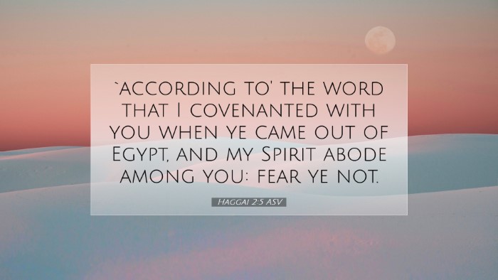 Picture 07 - Haggai 2:5 ASV Desktop Wallpaper - `according to' the word that I covenanted with - Desktop Bible Verse Wallpaper