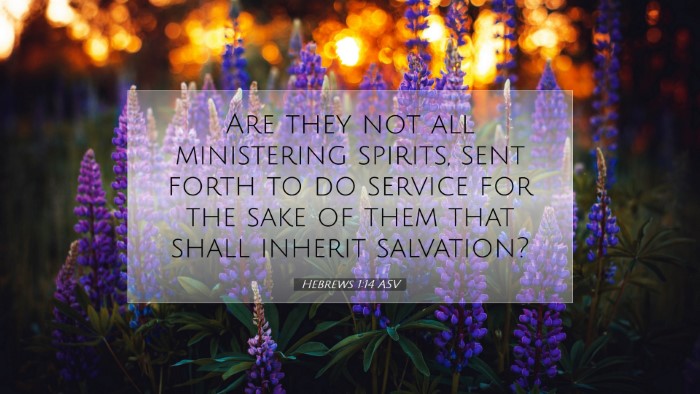 Picture 07 - Hebrews 1:14 ASV Desktop Wallpaper - Are they not all ministering spirits, sent forth - Desktop Bible Verse Wallpaper