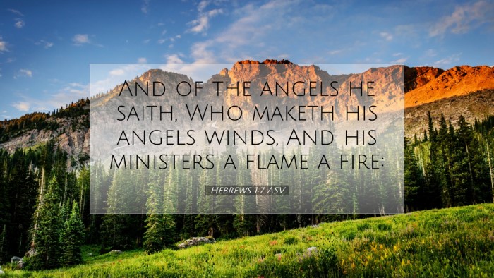 Picture 07 - Hebrews 1:7 ASV Desktop Wallpaper - And of the angels he saith, Who maketh his angels - Desktop Bible Verse Wallpaper