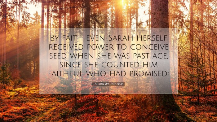 Picture 07 - Hebrews 11:11 ASV Desktop Wallpaper - By faith even Sarah herself received power to - Desktop Bible Verse Wallpaper