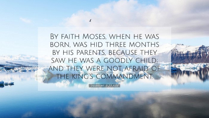 Picture 07 - Hebrews 11:23 ASV Desktop Wallpaper - By faith Moses, when he was born, was hid three - Desktop Bible Verse Wallpaper